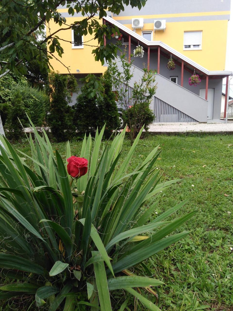 Apartmani Jasmina 2 Bihać Exterior foto